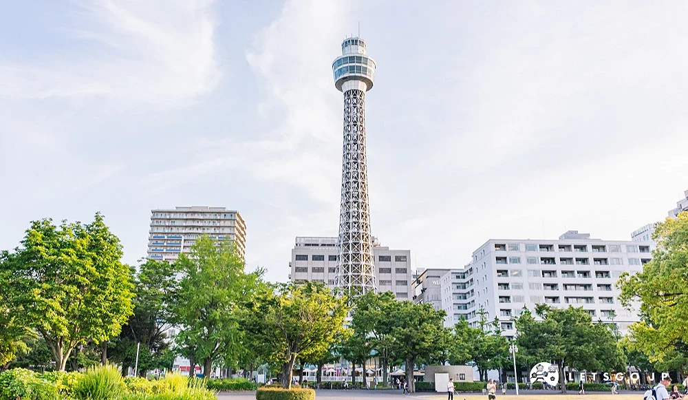 在城市中一柱擎天的存在,他的前方就是一座公園