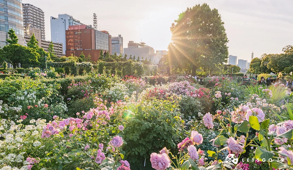 置身在城市花園中,百花齊放充滿生機