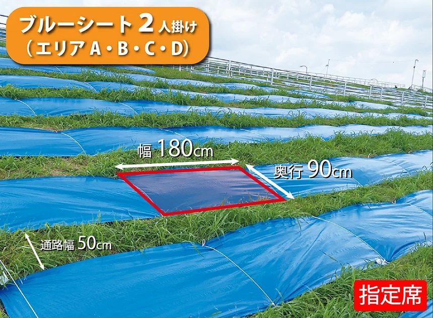 綠色草地上鋪著許多藍色野餐墊