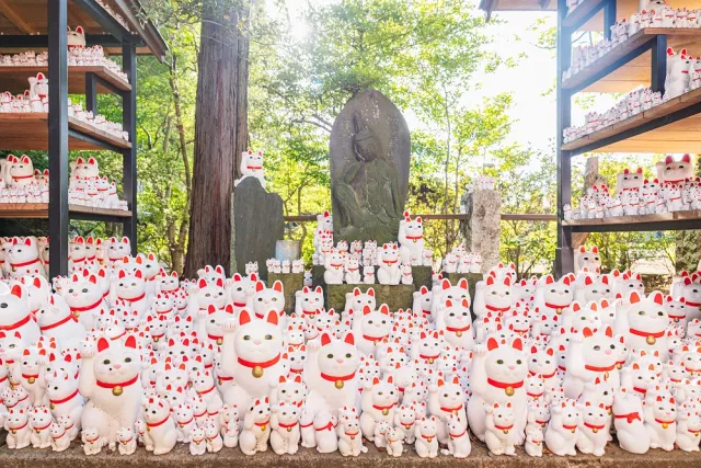 豪德寺招财猫圣地攻略：招福电车、交通、御守、美食一次弄懂