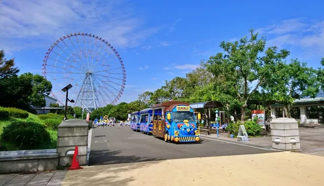葛西临海公园：水族馆、摩天轮、东京湾夕阳、四季花卉完整指南