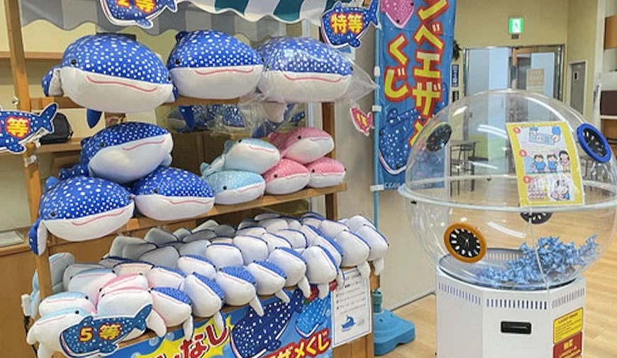 店內展示架擺滿鯨鯊造型絨毛玩具,旁設抽獎機,寫有日文標語與¥1,000字樣