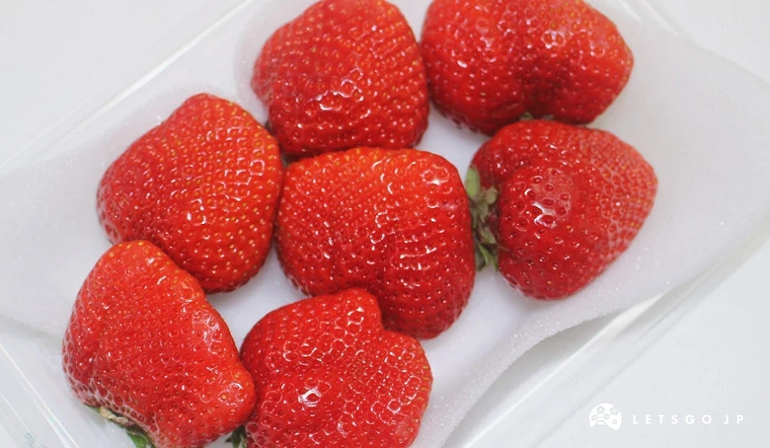 福冈县的「甘王」草莓