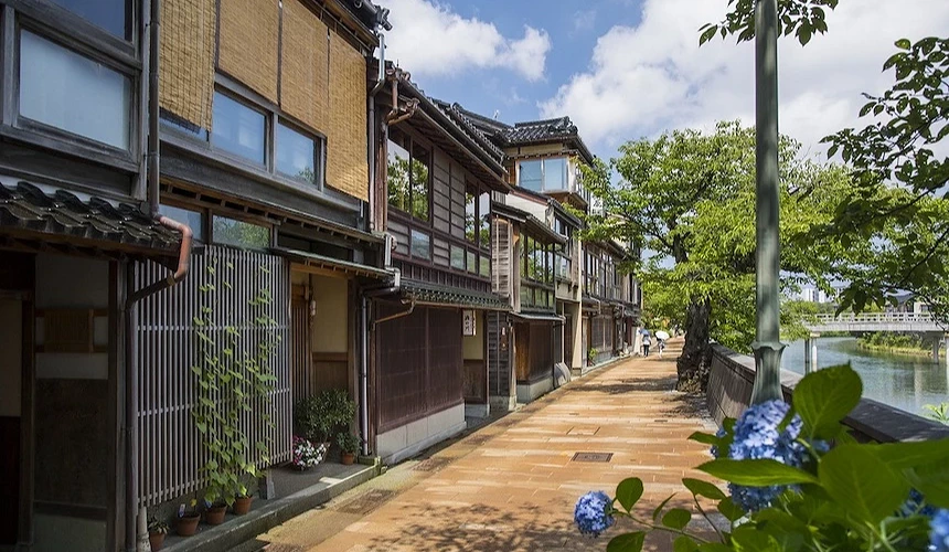 古色古香街道木造建筑群,紫阳花绽放前景,河景与绿树映衬日式町家风情。