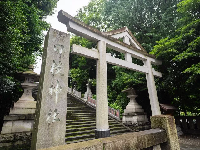 日枝神社攻略：山王祭、御守、御朱印、东京千本鸟居，交通亮点一次看！