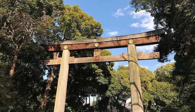 明治神宮攻略：台灣檜木鳥居、交通與開放時間、御守、御朱印一次整理！