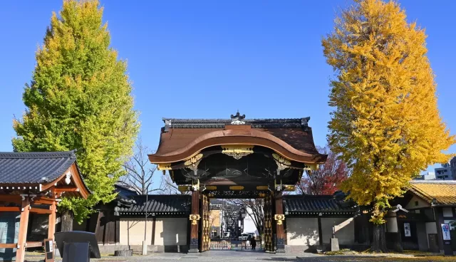 東本願寺攻略：銀杏、御影堂、東西本願寺差異，京都知名木造寺院指南！ 的縮圖