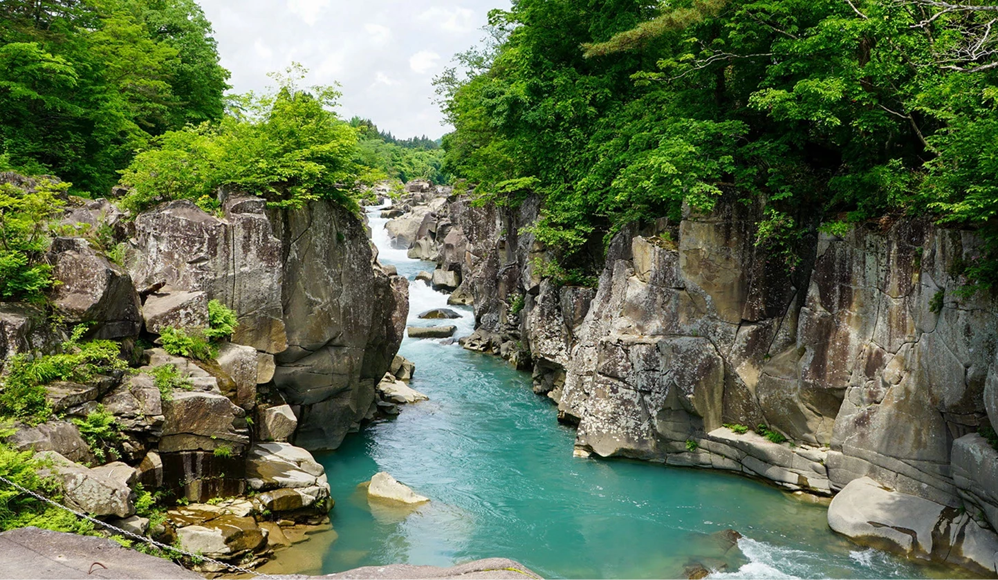 严美溪的夏天景色充满绿意