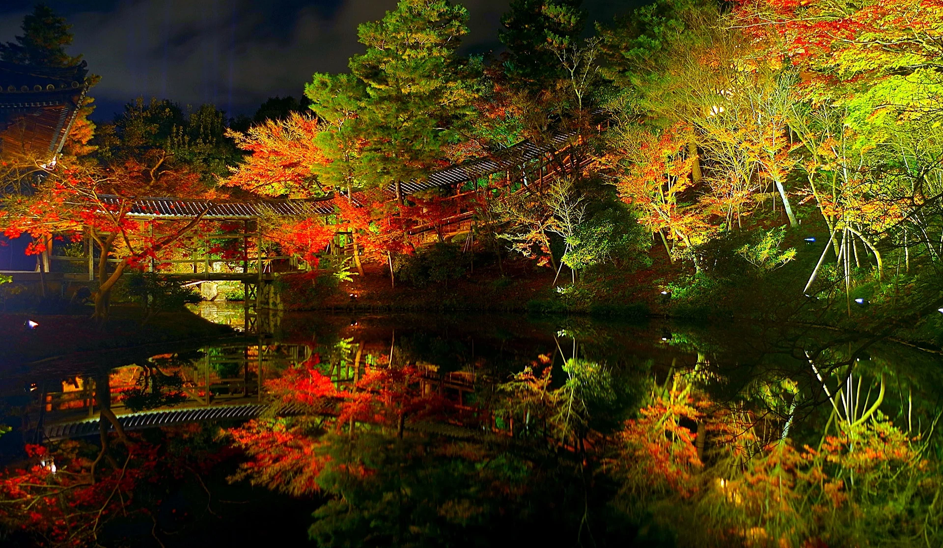 高台寺的夜楓點燈景色
