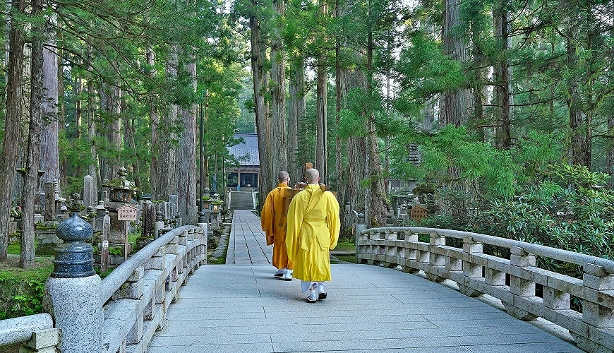 夏季绿荫中的参道