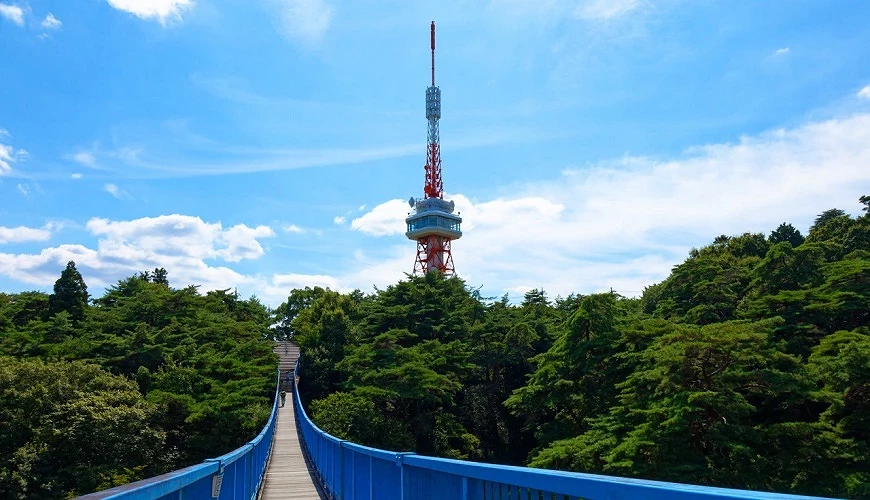 八幡山公园的吊桥与宇都宫塔
