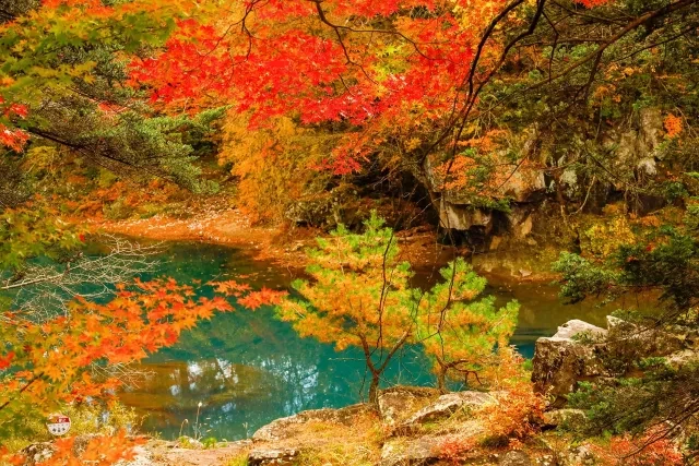 嚴美溪攻略：飛天糰子購買教學、交通與停留時間，岩手溪谷賞櫻賞楓必來 的縮圖